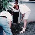 PlantingTrees